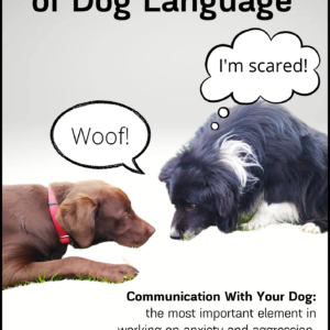 Sworn Translator of Dog  Language