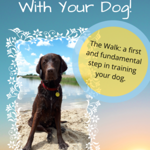An Active Walk With Your Dog
