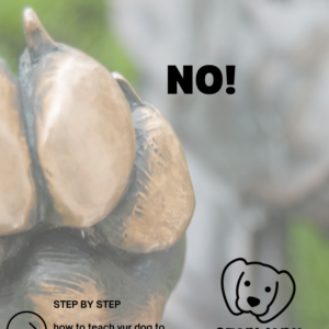 "No" Command Mastery