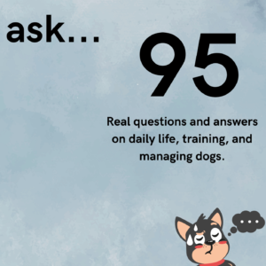 I would like to ask.." - 95 real questions and answers on daily life