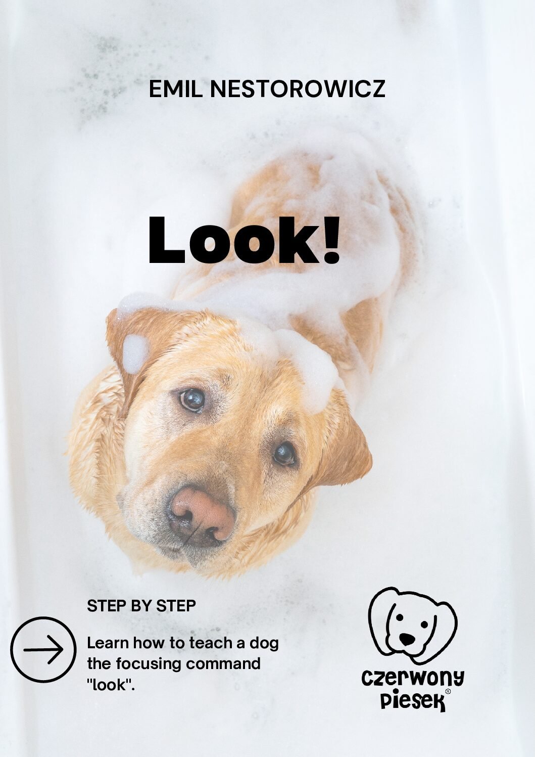 "Look" Command Mastery